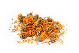 All about beautiful Calendula