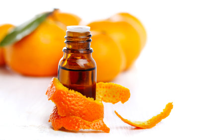 Monograph - Orange (Sweet)