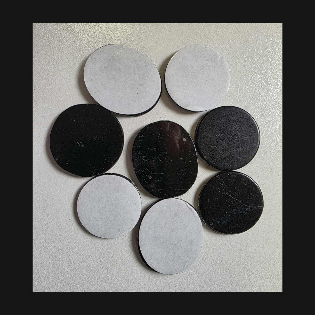 Shungite Disc