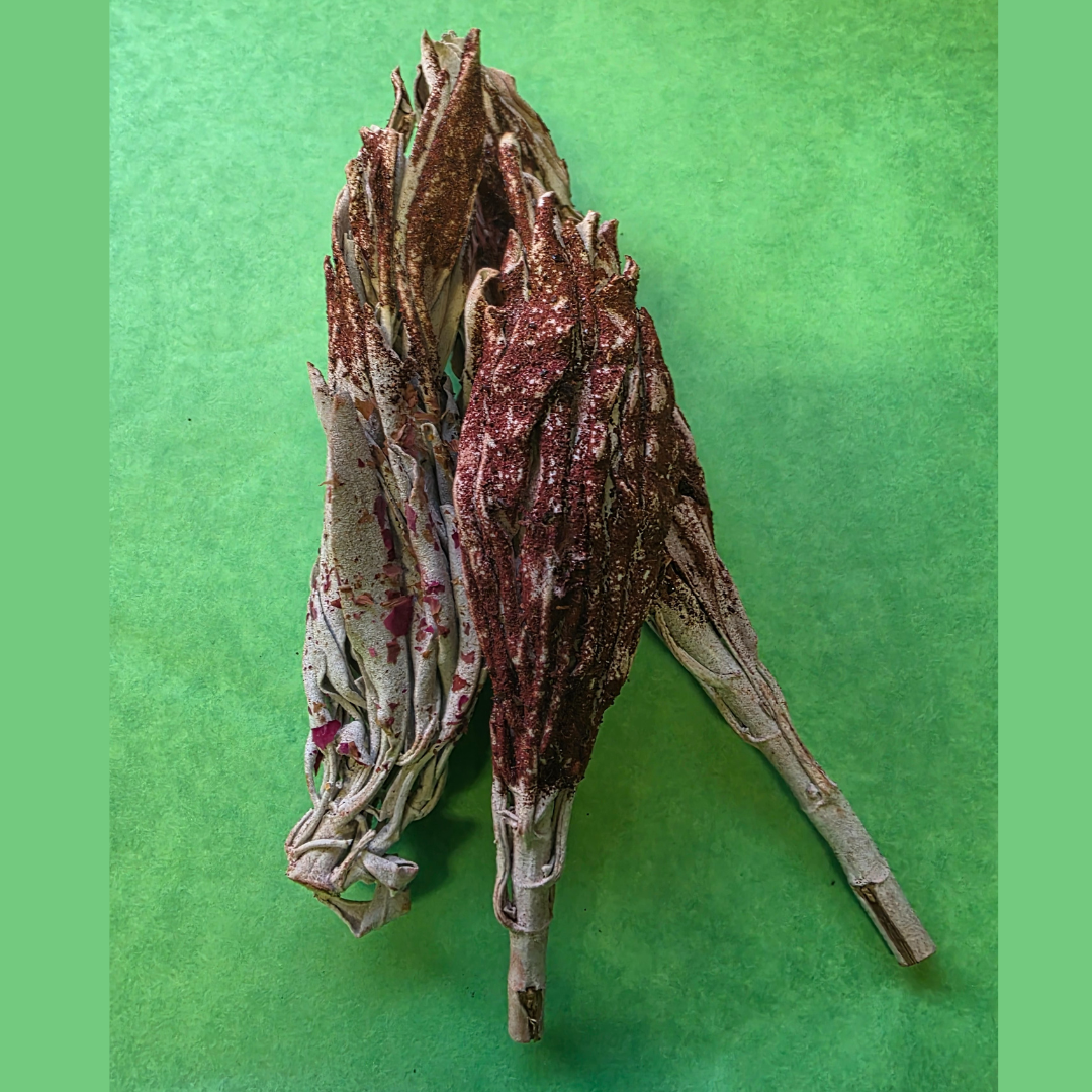 Sage (White) Tips Dipped in Dragons Blood