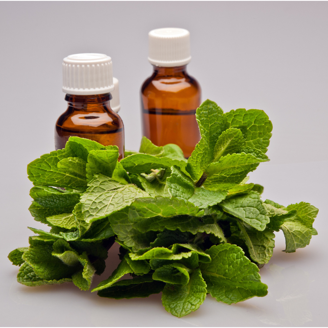 Peppermint Hydrosol - Organic 100ml