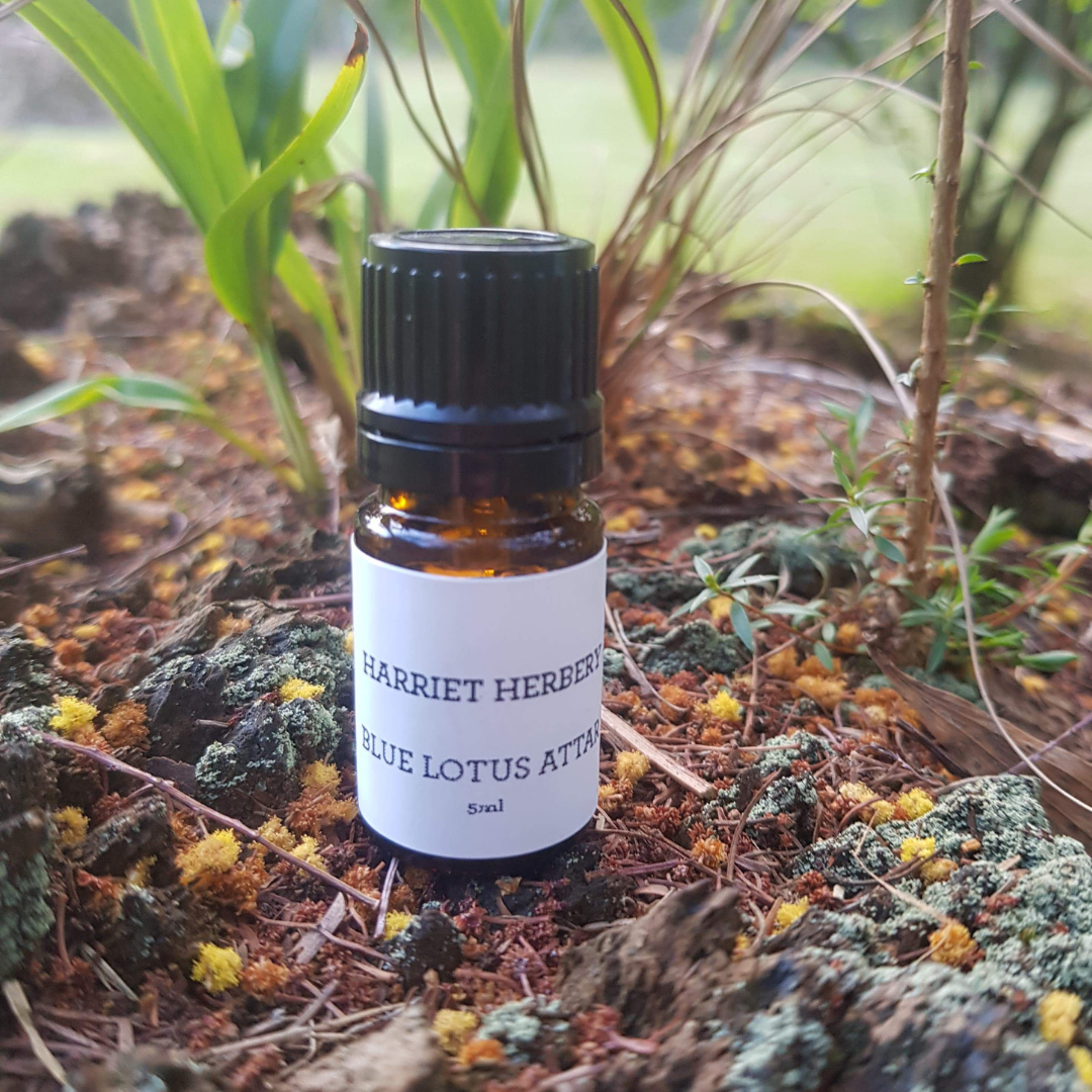 Blue Lotus Attar - 5ml in Sandalwood - Harriet Herbery