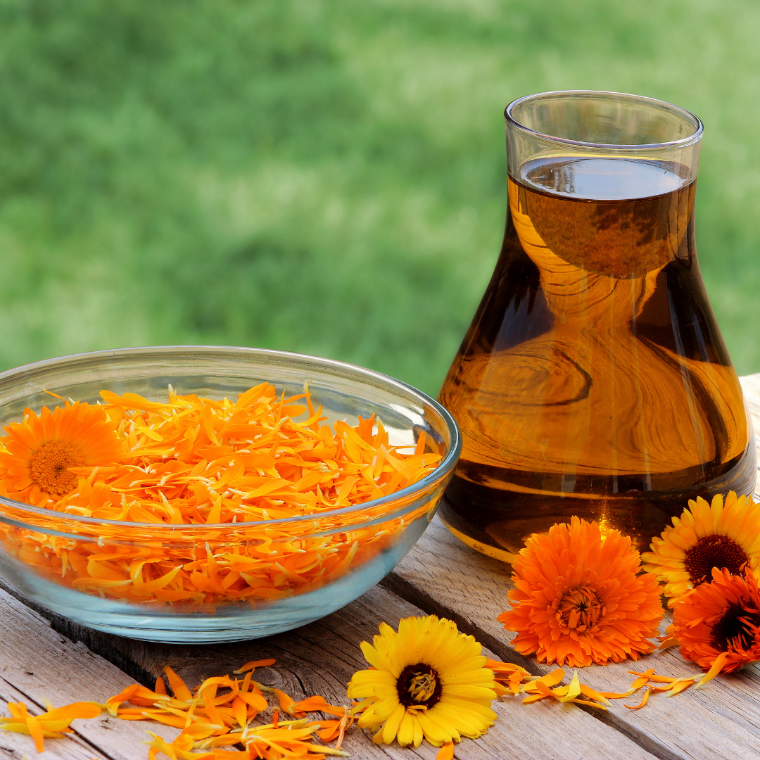 Calendula Infused Oil - 50ml