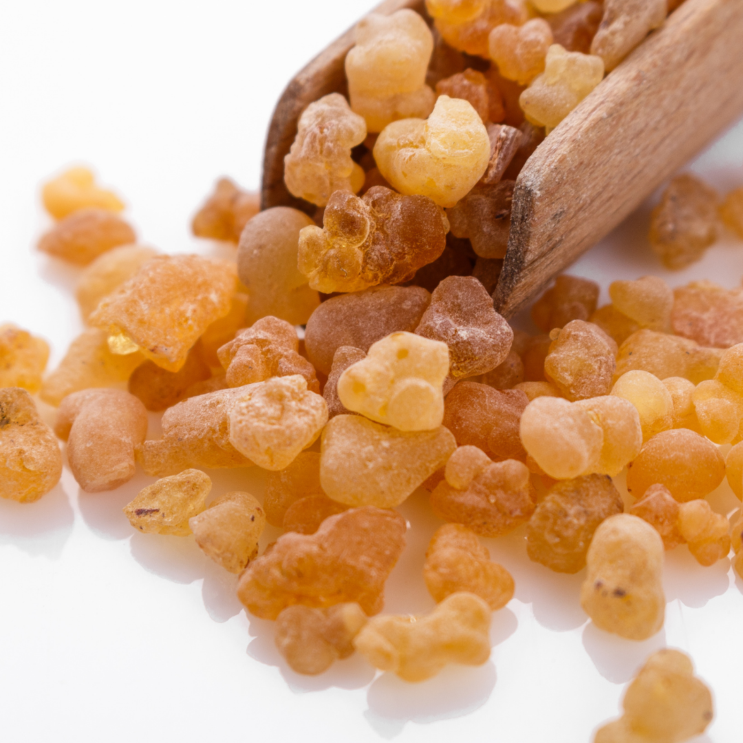 Frankincense Serrata - Organic Essential Oil - 10ml - Harriet Herbery