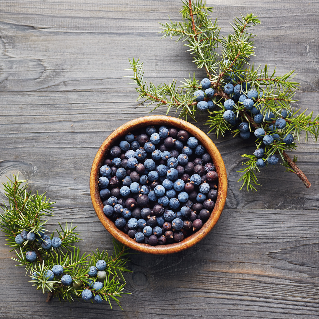 Juniper Berry - Essential Oil - 10ml - Harriet Herbery