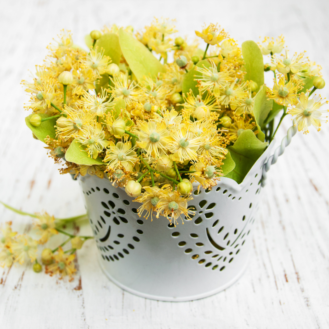 Linden Flower & Leaf - Certified Organic - 50gm