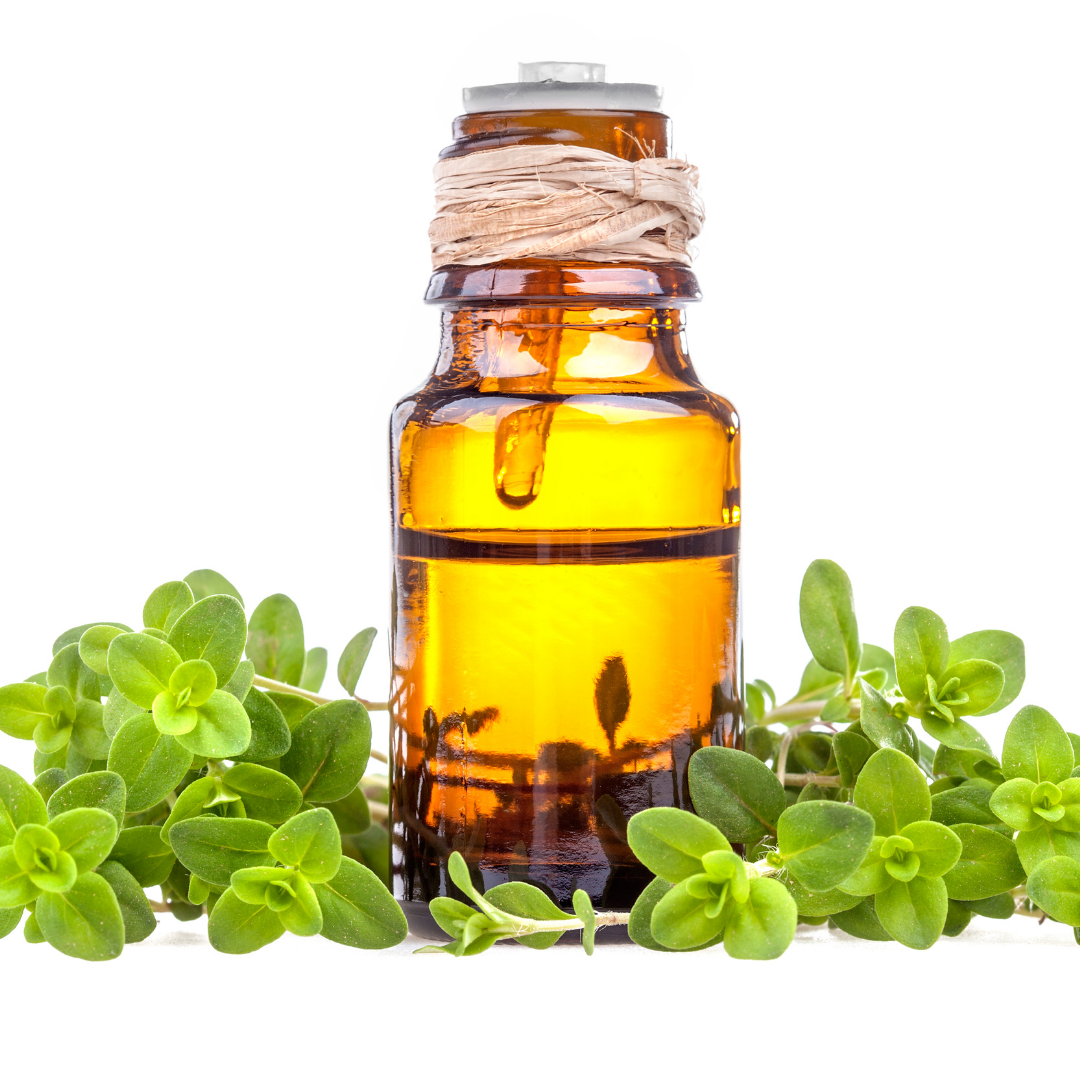 Marjoram Essential oil 10ml - Harriet Herbery