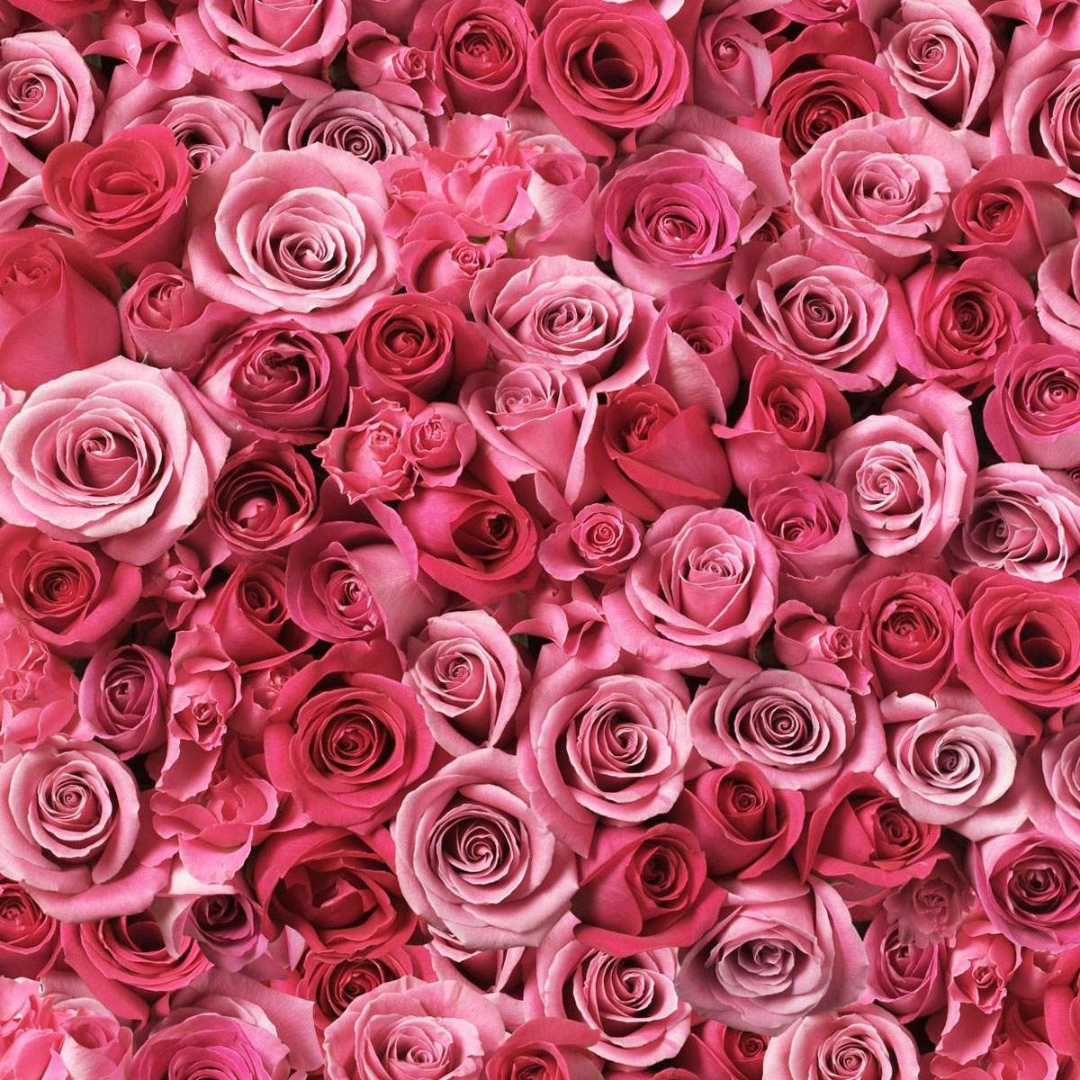 Rose Damask Hydrosol