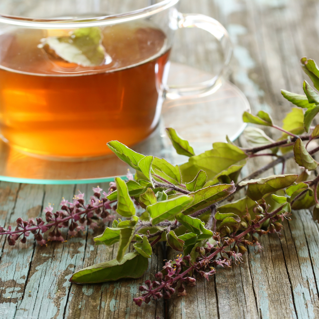 Tulsi (Sacred Basil) - Certified Organic - 50gm