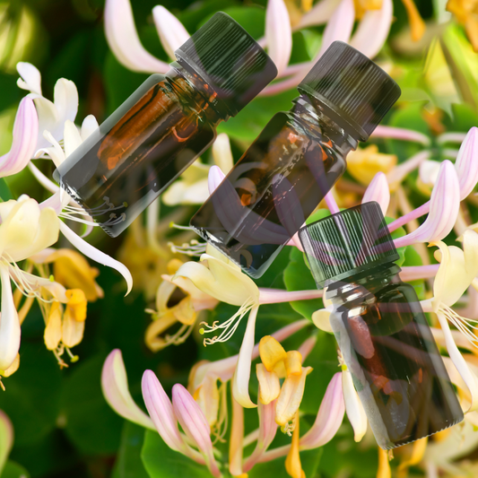 Honeysuckle Attar - 5ml