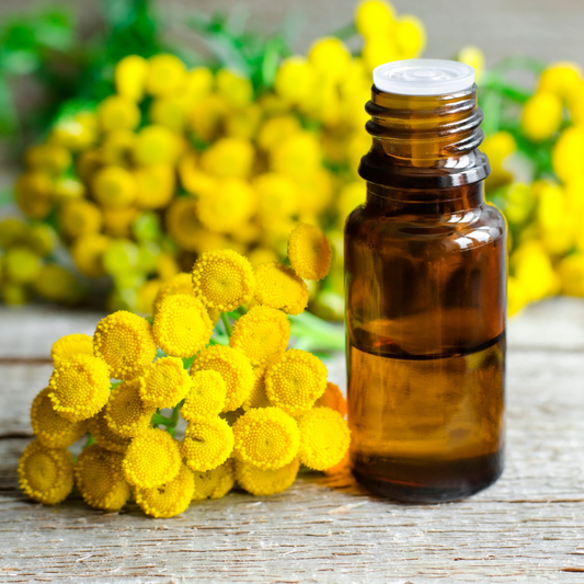 Blue Tansy Essential Oil 3% in Jojoba - 5ml