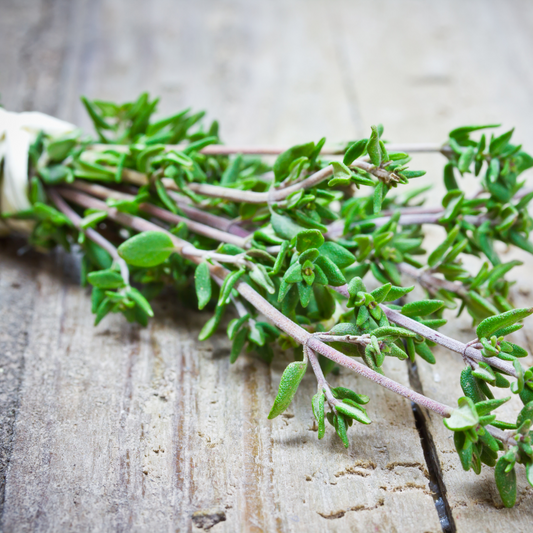 Thyme White - Essential Oil - 5ml